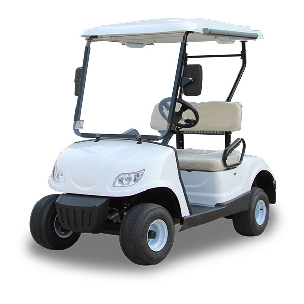 buggy golf car