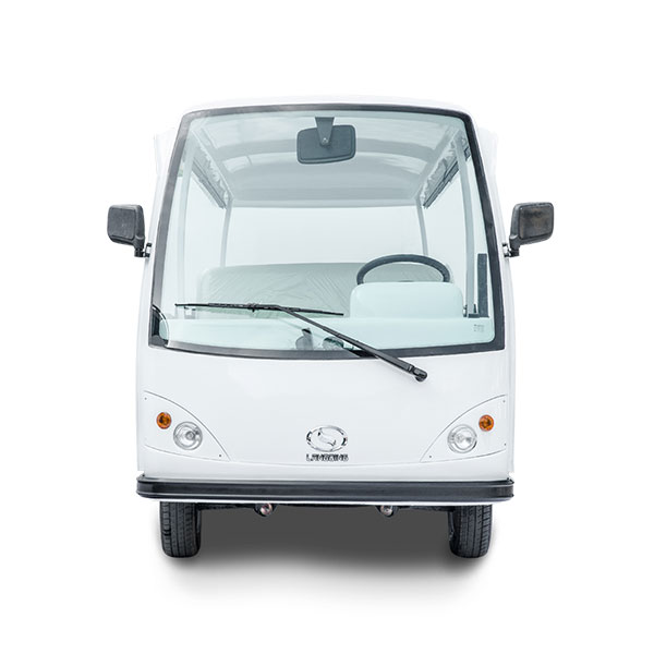 Electric Tourist Car