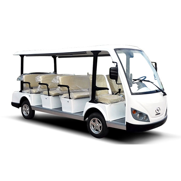 11 passenger electric sightseeing car